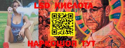 соль ск Бийск