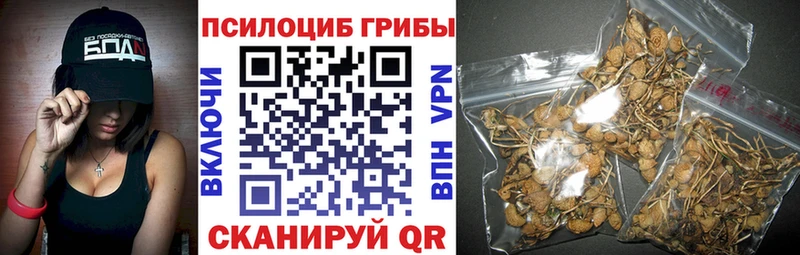нарко площадка клад  закладка  Киржач  Галлюциногенные грибы Psilocybine cubensis 