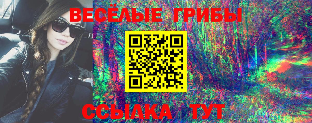 Псилоцибиновые грибы мухоморы  Вход с VPN  Галлюциногенные грибы Magic Shrooms  Киржач 